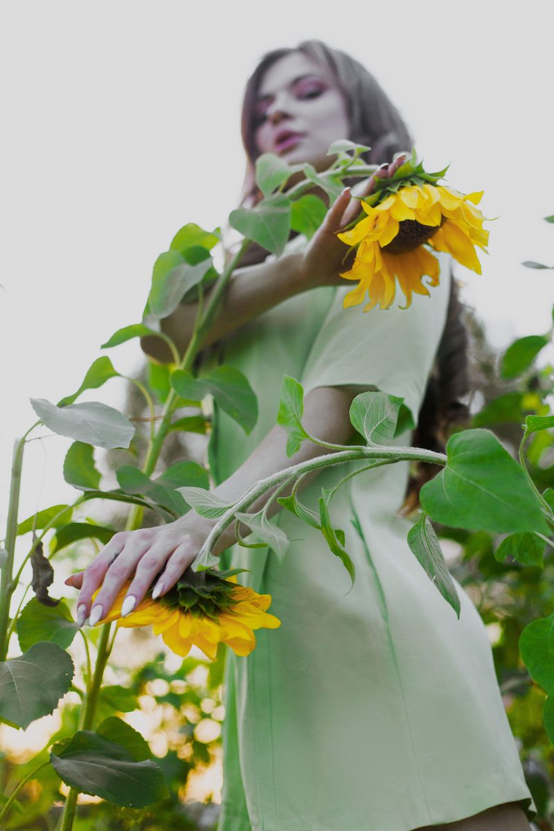 DIY: How to Plant a Personal Garden in a Small Urban Space